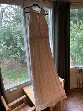 London Times Lace Dress in Blush Cream